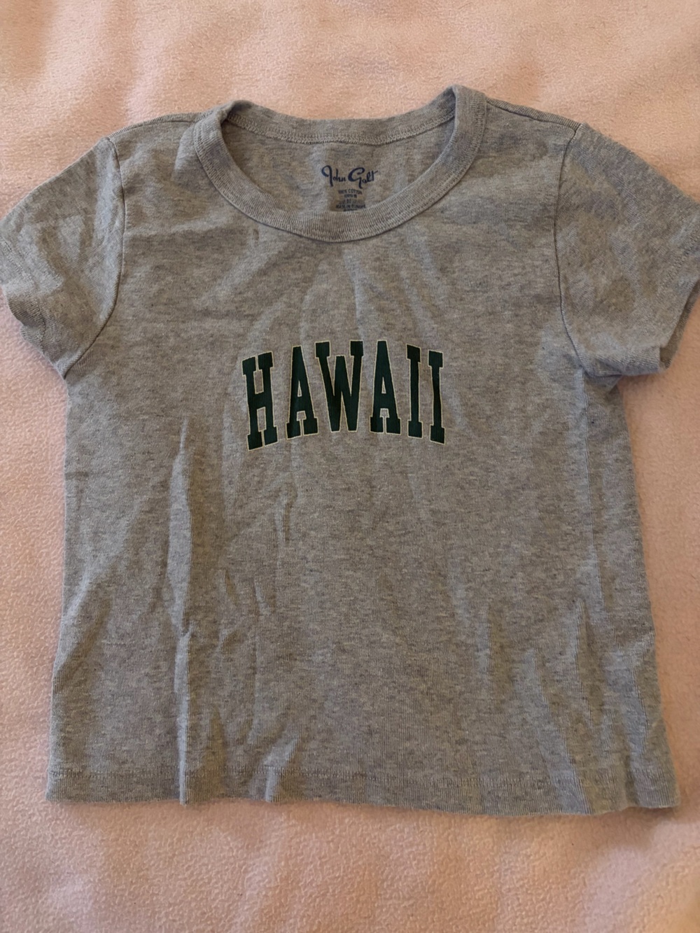 Brandy Melville Gray Tee with Dark Green HAWAII Graphic